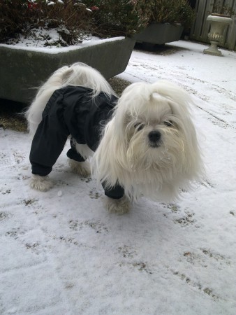 zo'n jasje is lekker in de sneeuw