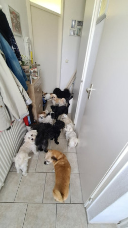 Geduldig wachten tot de deur opengaat voor het avond eten.