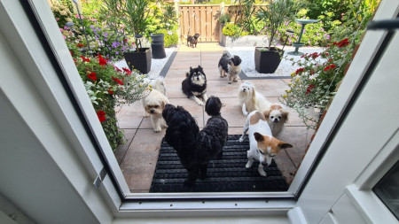 Wij zijn klaar met spelen mogen we naar binnen.